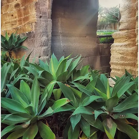 Giardino Dell'impossibile Di Antonino Campo * Favignana