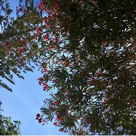 Giardino Dell'impossibile Di Antonino Campo شقة فافينانا