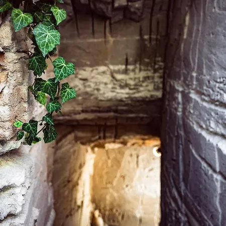 شقة Giardino Dell'impossibile Di Antonino Campo *