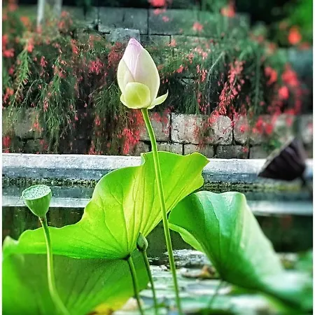 Giardino Dell'impossibile Di Antonino Campo * فافينانا