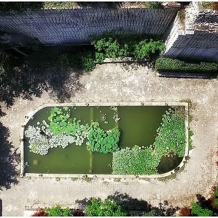 Giardino Dell'impossibile Di Antonino Campo فافينانا